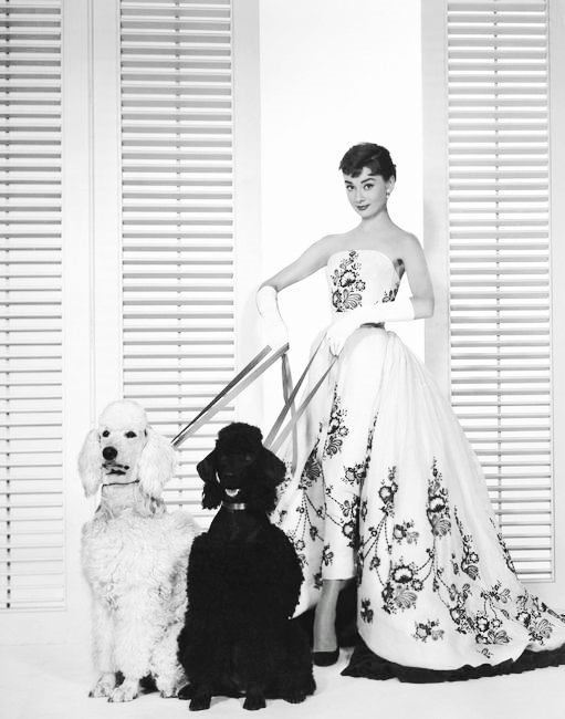Ngày 4/5 là ngày sinh nhật thứ 89 của "nữ hoàng thanh lịch" Audrey Hepburn. Là biểu tượng của vẻ đẹp cổ điển Hollywood, không bao giờ phai nhạt trong mắt của hàng triệu người yêu thời trang, phong cách của Hepburn vẫn sống mãi suốt hơn 50 năm qua.