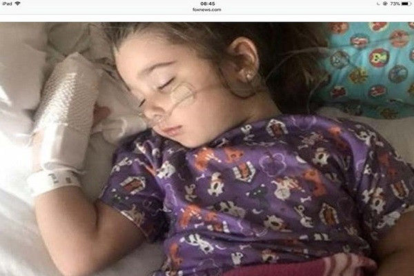 Elianna Grace đang phải cần sự trợ giúp từ máy thở tại Bệnh viện Tưởng niệm Sarasota (Mỹ) sau khi uống nước hồ bơi. Ảnh: Fox News