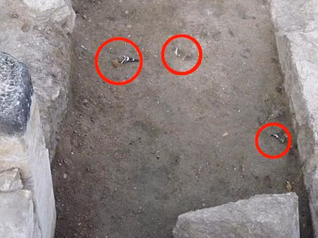 Chim chóc chết bí ẩn bên ngoài ngôi đền cổ.