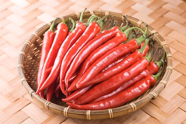 Ớt cay có chứa một thành phần hoạt chất gọi là capsaicin kích thích sự sản sinh endorphin do đó giúp giảm đau mãn tính và capsaicin cũng có thể ức chế một loại enzyme gây đau trong cơ thể.