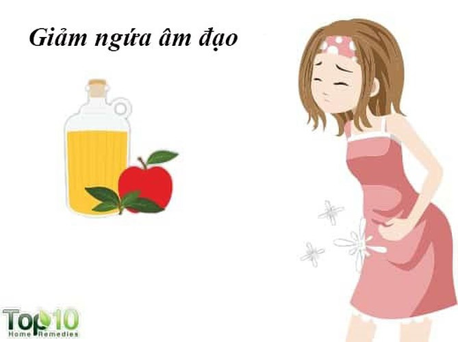 Giảm ngứa âm đạo: Phụ nữ ở mọi lứa tuổi đều có thể bị ngứa âm đạo. Các nguyên nhân từ nhiễm trùng, bệnh lây truyền qua đường tình dục (STDs), mãn kinh đến các chất kích thích hóa học đều có thể gây ngứa, rát hoặc kích thích ở vùng âm đạo. Tuy nhiên, bạn có thể đối phó với những vấn đề này bằng giấm táo nhờ tính kháng khuẩn và kháng nấm của nó.