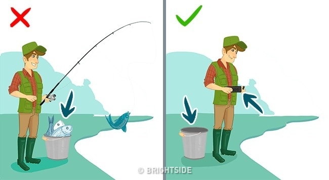 3. Nếu bạn thích câu cá để ăn, vậy hãy đảm bảo nguồn nước không chứa thủy ngân và các chất thải bẩn khác. 4. Khi mua cá hồi, hãy chọn lát cá với những vân màu trắng. Nếu lát cá có màu đỏ hoàn toàn, có thể nó đã bị nhuộm. Cũng đừng chọn miếng cá có đốm trắng trên da, vì nó được bắt vào mùa sinh sản nên thịt khá nhạt nhẽo.