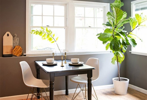  Tuổi Mùi Người tuổi Mùi nên chăm chút hướng Bắc của mình. Họ có thể đặt một hộp gỗ gụ ở phía Bắc văn phòng. Sau đó, bày bên trong hộp là một đồ vật liên quan đến công việc của mình. Ví dụ, đầu bếp có thể đặt một chiếc nồi hoặc con dao vào phía trong. Bằng cách này, tài sản của người tuổi Dê sẽ sinh sôi nảy nở. 