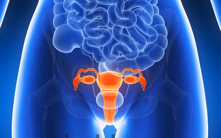 Đau khi quan hệ tình dục: Tác dụng phụ này không phải là phổ biến. Tuy nhiên, trong một số trường hợp, khi quan hệ tình dục, phụ nữ sẽ gặp cơn đau nhói nhẹ ở bụng dưới. Nó có thể là một tác dụng phụ của cắt bỏ tử cung. Nếu đang gặp phải điều này, bạn bên trao đổi lại với bác sĩ.