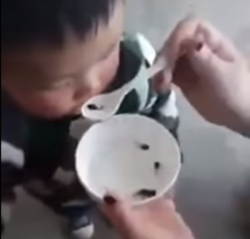 Một đứa trẻ được cho ăn nòng nọc sống để chữa bệnh.