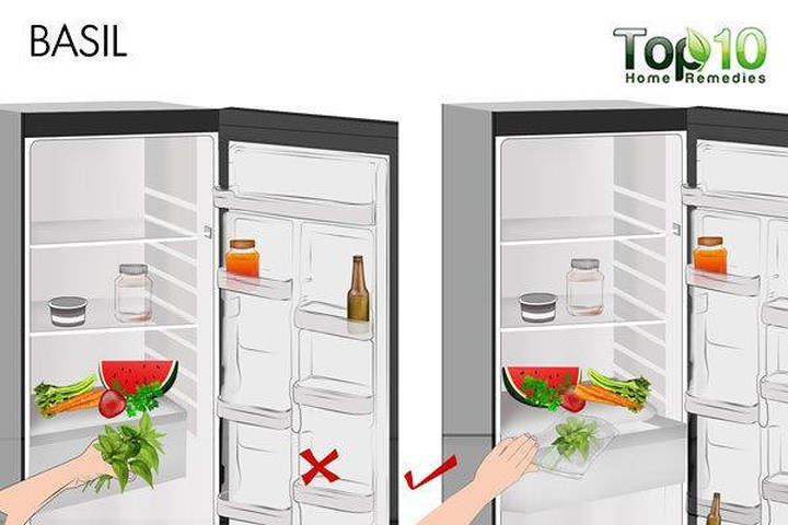 Húng quế: Nhiều người thường để húng quế trong tủ lạnh. Tuy nhiên, nhiệt độ lạnh của tủ lạnh làm hỏng lá húng quế và chúng sẽ bị hỏng trong một hoặc hai ngày. Tốt nhất là bảo quản húng quế tươi ở nơi ẩm ướt và mát mẻ. Bạn có thể quấn thân cây trong một chiếc khăn giấy ẩm và đặt chúng trong một túi ziplock rồi cất vào tủ lạnh.