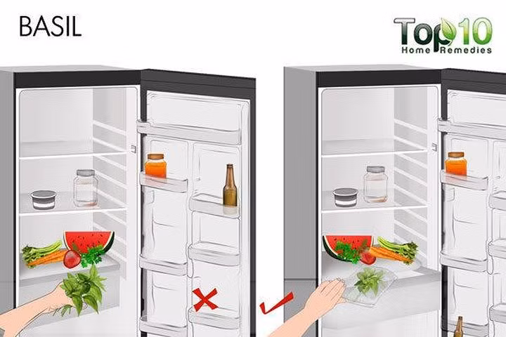 Húng quế: Nhiều người thường để húng quế trong tủ lạnh. Tuy nhiên, nhiệt độ lạnh của tủ lạnh làm hỏng lá húng quế và chúng sẽ bị hỏng trong một hoặc hai ngày. Tốt nhất là bảo quản húng quế tươi ở nơi ẩm ướt và mát mẻ. Bạn có thể quấn thân cây trong một chiếc khăn giấy ẩm và đặt chúng trong một túi ziplock rồi cất vào tủ lạnh.