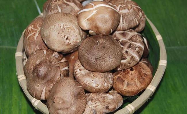  1. Nấm đông cô: Tăng khả năng giải độc cơ thể, làm giảm lượng cholesterol Y học hiện đại cho rằng, nấm đông cô có chứa nhiều tinh bột, có thể làm tăng khả năng miễn dịch và giải độc của cơ thể, tăng khả năng chống ung thư của cơ thể. Ngoài ra, nấm đông cô còn có thể hạ huyết áp, giảm lượng cholesterol, phòng chống xơ vữa động mạch, có tác dụng bổ tim, gan… 