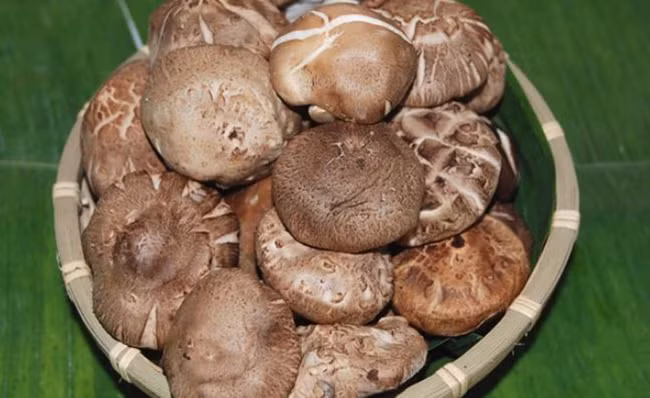  1. Nấm đông cô: Tăng khả năng giải độc cơ thể, làm giảm lượng cholesterol Y học hiện đại cho rằng, nấm đông cô có chứa nhiều tinh bột, có thể làm tăng khả năng miễn dịch và giải độc của cơ thể, tăng khả năng chống ung thư của cơ thể. Ngoài ra, nấm đông cô còn có thể hạ huyết áp, giảm lượng cholesterol, phòng chống xơ vữa động mạch, có tác dụng bổ tim, gan… 