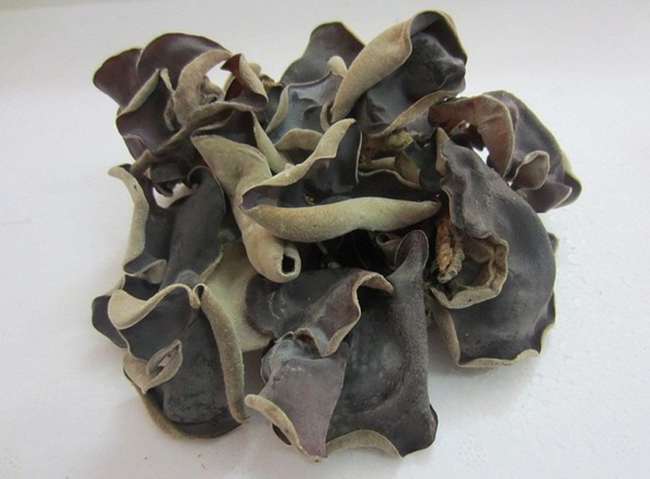  4. Mộc nhĩ (nấm mèo): Giải độc máu Mộc nhĩ đen có tác dụng hòa tan các chất khó tiêu hóa như: vỏ ngũ cốc, gỗ mụn, cát, mảnh kim loại… ngoài ra còn có tác dụng làm tan sỏi mật, sỏi thận. Mộc nhĩ còn có thể làm giảm sự đông máu cục, giúp ngăn ngừa bệnh tắc động mạch. 