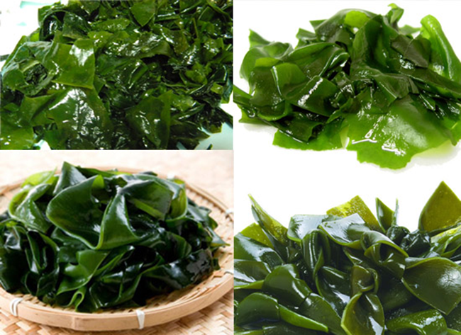 3. Rong biển: Giảm cholesterol, bài tiết các chất phóng xạ Rong biển có tác dụng loại bỏ các độc tố, ngăn ngừa cơ thể hấp thu những kim loại như chì, cadmium… loại bỏ các nguyên tố phóng xạ trong cơ thể, đồng thời có tác dụng điều trị xơ cứng động mạch, kích thích tuyến yên, làm giảm hormone nữ trong cơ thể nữ giới, làm cho cơ quan sinh sản hồi phục bình thường, loại bỏ bệnh tiềm ẩn của tuyến vú.