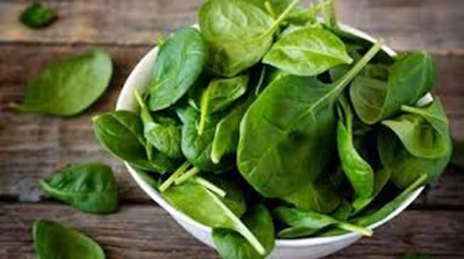  8. Cải bó xôi (rau chân vịt): Giải độc, giải nhiệt dạ dày, đường ruột Cải bó xôi có tác dụng giải độc, giải nhiệt dạ dày, đường ruột, trị táo bón, làm cho tinh thần thoải mái, mặt mày rạng ngời. Cải bó xôi có chứa chất giống như insulin, có thể làm cân bằng và ổn định lượng đường trong máu. Với hàm lượng vitamin cao, tiêu thụ cải bó xôi có thể giúp phòng chống 1 số bệnh do thiếu vitamin gây nên như nhiệt miệng, bệnh quáng gà. 