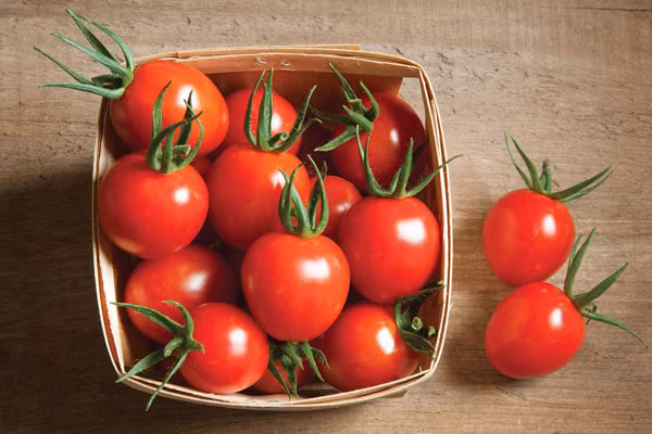 Một quả cà chua kích thước trung bình có thể cung cấp 1/2 lượng vitamin C khuyến nghị sử dụng mỗi ngày. Đây cũng là nguồn cung cấp vitamin C, K, kali và sắt tuyệt vời cho cơ thể.