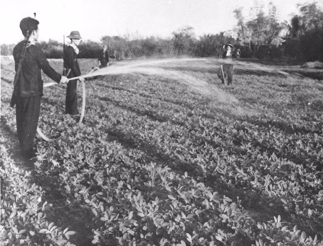 Tăng gia sản xuất.