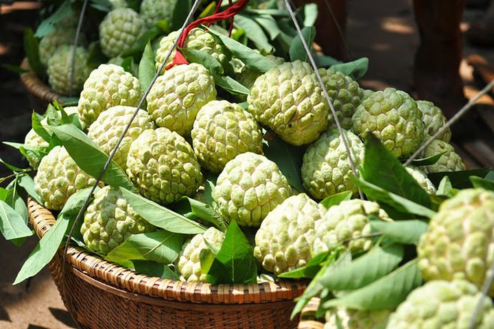 Chống lão hoá da: Việc ăn na thường xuyên kích thích sản sinh collagen, giúp duy trì tính đàn hồi của da và tránh các dấu hiệu lão hóa.