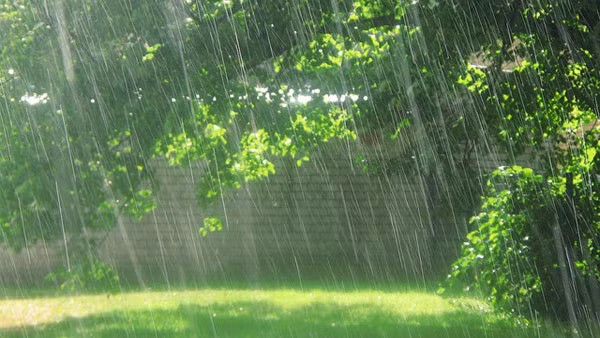 Người đang yêu mà thấy những cơn mưa dai dẳng, không ngớt trong giấc mơ cho thấy họ đang có một tình yêu chân thành. Nếu là cơn mưa nặng hạt thì có thể người yêu đang giấu bạn một bí mật.