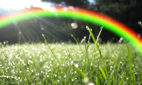 Nằm mơ thấy cơn mưa vừa tạnh cho là dự báo công việc làm ăn của bạn sẽ phát đạt.