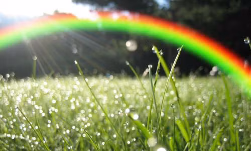 Nằm mơ thấy cơn mưa vừa tạnh cho là dự báo công việc làm ăn của bạn sẽ phát đạt.