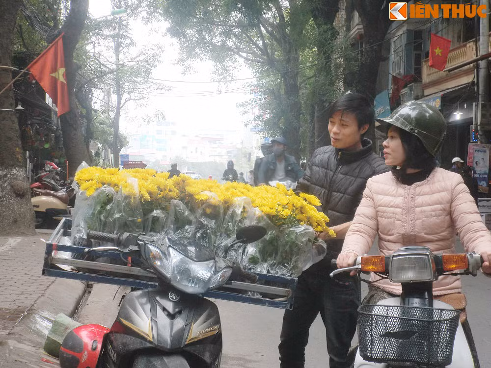 Het Tet, dao, mai van ban day duong-Hinh-4