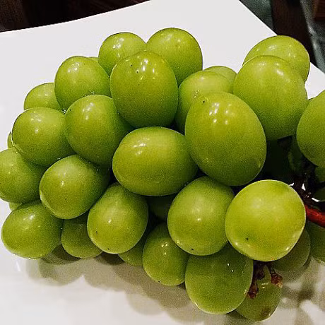 Nho đầu mùa được xách tay về Việt Nam với giá 3 triệu đồng/kg, khi vào mùa rộ, giá ở mức 900.000 - 1.4 00.000 đồng /kg. Mùa nho mẫu đơn kéo dài từ tháng 6 đến tháng 11.