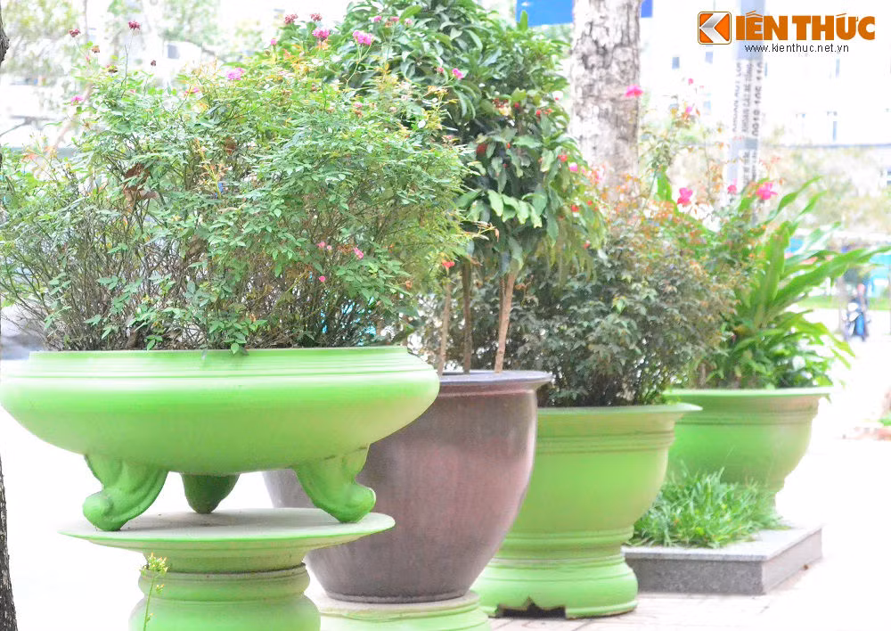 Điểm lạ của căn biệt thự này chính là các chậu cây đều sơn màu xanh lá lạ mắt.