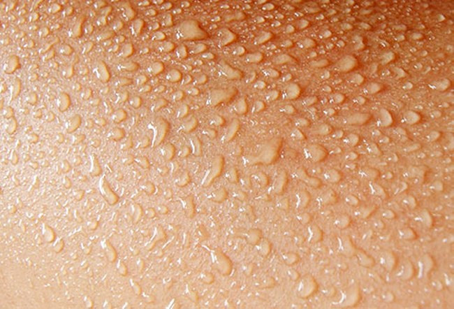 Đổ mồ hôi: Đây là một phản ứng làm mát tự nhiên của cơ thể khi thời tiết nắng nóng cao điểm. Cơ thể đẩy mồ hôi lên bề mặt da, mồ hôi bay hơi đem theo cả hơi nóng. Bạn sẽ rất nhanh mệt mỏi nếu cơ thể không đổ mồ hôi.