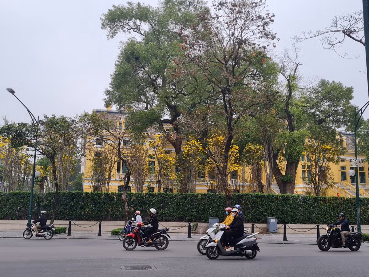 Đây không phải lần đầu tiên Hà Nội chịu ảnh hưởng động đất từ các khu vực khác.