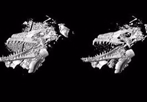 In 3D hóa thạch. Kết hợp công nghệ in 3D sẽ hỗ trợ các nhà cổ sinh vật học hoàn thành những mẫu vật thời tiền sử và xây dựng các vật thể trưng bày trong khu vực bảo tàng. “Máy in 3D sẽ là một bước thay đổi trong khoa học cổ sinh vật học một khi chi phí rẻ hơn”, Louise Leakey người điều hành một bảo tàng hóa thạch ảo nói.