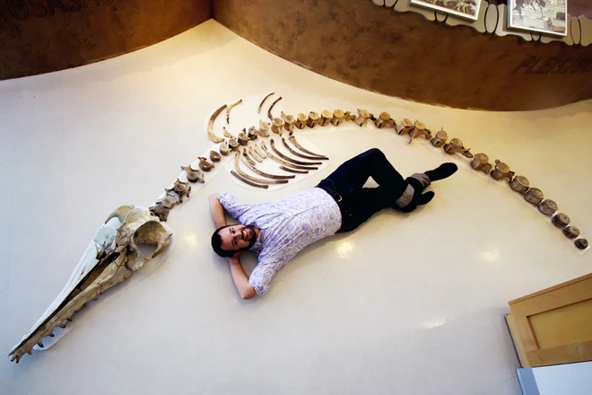 Một bộ xương gần như hoàn thiện dài 4.8 mét, được cho là tổ tiên loài cá heo, từng sống ở khu vực nay là South Carolina trong thế Oligocene khoảng 25 triệu năm về trước. Loài cá heo ăn thịt siêu lớn này từng là nỗi kinh hoàng của các sinh vật dưới đại dương thời cổ đại.