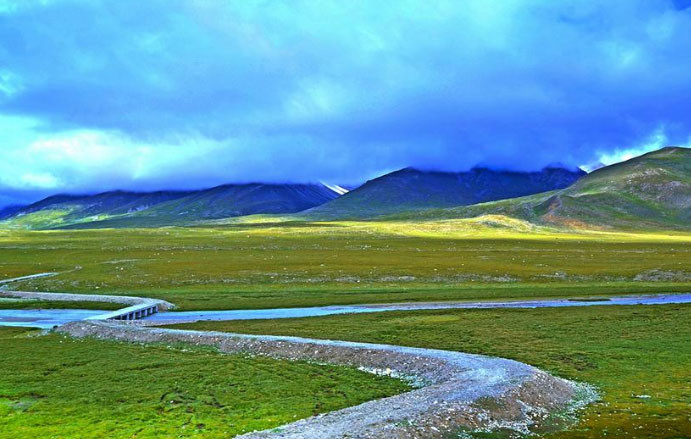 Màu xanh thảm thực vật ở Nagqu chỉ là đồng cỏ xanh mênh mông. Đây là cũng là điểm du lịch thu hút khách của thành phố này.