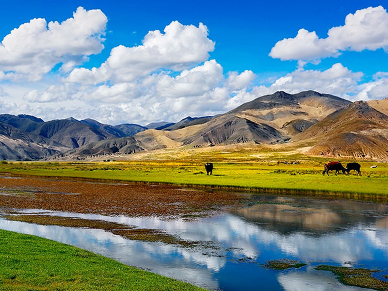 Khí hậu ở đây quá lạnh giá nên băng khó tan và cây không thể ra rễ.