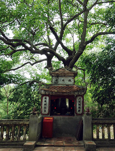 Trong cuốn “Giản yếu sử Việt Nam” có đoạn viết, nhân dân vì yêu mến thái úy Tô Hiến Thành mà đã ca ngợi ông như Gia Cát Lượng. Quả thực, ông có nhiều điểm rất giống với Gia Cát Lượng của Tam Quốc. Ảnh: Đền thờ Tô Hiến Thành ở Thanh Hóa. Ảnh: Đền thờ Tô Hiến Thành ở Thanh Hóa. Nguồn: Bảo tàng lịch sử.