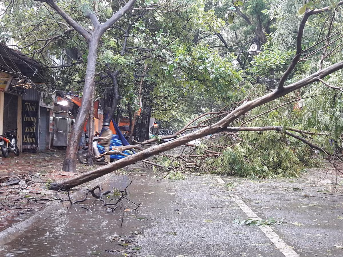 Việc đi lại hiện tại là vô cùng khó khăn.