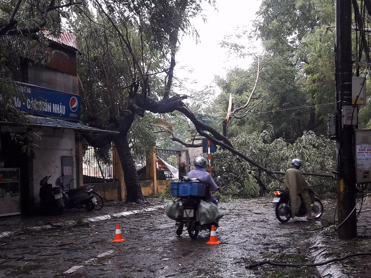 Nhiều cây to không đổ thì gãy cành lớn - ảnh tại đường Nghĩa Tân, Cầu Giấy.