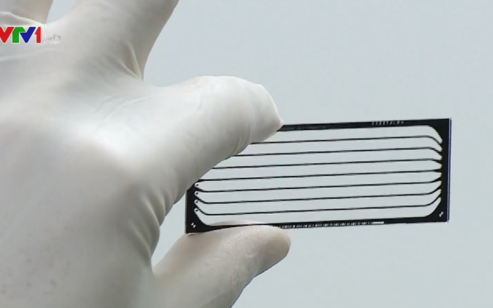 Bộ gen người Việt có nhiều điểm giống với gen của người Thái, nằm gần với bộ gen người Hán phía Nam Trung Quốc , có sự giao thoa nhất định nhưng không nhiều