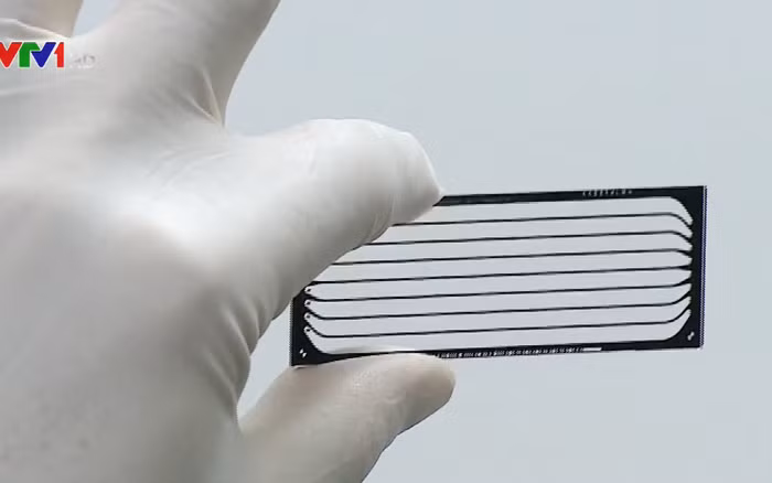 Bộ gen người Việt có nhiều điểm giống với gen của người Thái, nằm gần với bộ gen người Hán phía Nam Trung Quốc , có sự giao thoa nhất định nhưng không nhiều