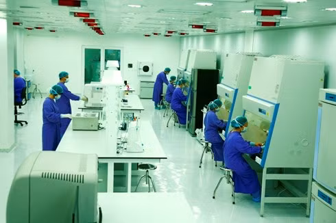 Công trình nghiên cứu bộ gen người Việt này do các nhà khoa học thuộc Viện nghiên cứu Tế bào gốc - công nghệ gen Vinmec (VRISG) thực hiện. Là cơ sở dữ liệu đồ sộ đầu tiên về hệ gen người Việt Nam, được thực hiện từ việc giải trình tự bộ gen của 305 người Kinh khỏe mạnh tại Vinmec; đồng thời, kết hợp với dữ liệu của 101 người đã được công bố trước đó.