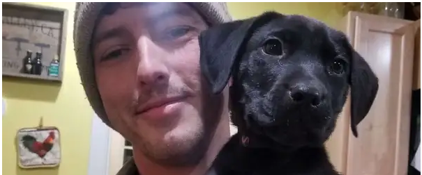 Xuc dong chu cho hoc ngon ngu cua nguoi khiem thinh-Hinh-2