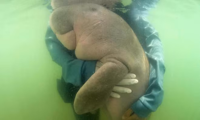 Bo bien lac me thanh 