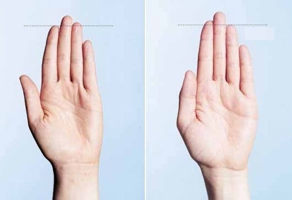 Người có ngón trỏ và ngón áp út của bàn tay trái dài bằng nhau là một người thích cuộc sống yên bình, không bon chen, luôn cố gắng tránh mọi tình huống xung đột và rủi ro. Họ rất chu đáo, có tính cách nhẹ nhàng, sống có nguyên tắc, nền nếp và chỉn chu.