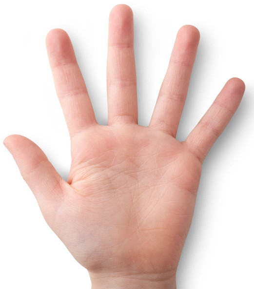 Lòng bàn tay và ngón tay đều ngắn là một người bình tĩnh và lý trí. Bạn luôn làm mọi việc theo suy luận logic. Trước khi làm gì, bạn đều suy nghĩ kỹ, không bao giờ hành động bồng bột nông nổi. Bạn là người đáng tin cậy, trung thành và chăm chỉ.