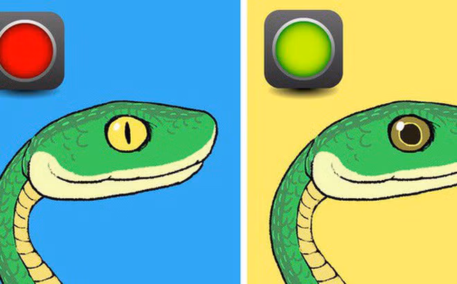 Sống trong một khắc nghiệt, môi trường khô hạn cũng là nguyên nhân loài rắn phát triển nọc độc, nó phải bảo tồn tài nguyên bằng cách chỉ dùng một phần rất nhỏ nọc độc mỗi khi cắn một con mồi.