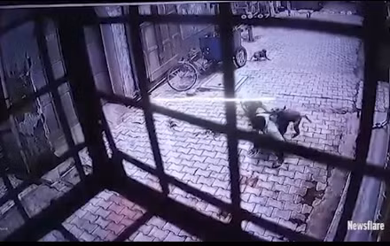 Chet khiep canh nguoi dan ong bi bay khi quay danh hoi dong