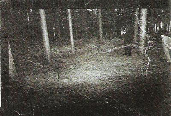 Khu rừng Rendlesham Nằm ở quận Southern English của Suffolk trở thành tâm điểm gây chú ý của các phương tiện truyền thông vào năm 1980 sau khi tại đây, nhiều binh lính Không quân Mỹ cho biết rằng họ nhìn thấy những ánh sáng lạ trong 3 đêm liên tiếp.