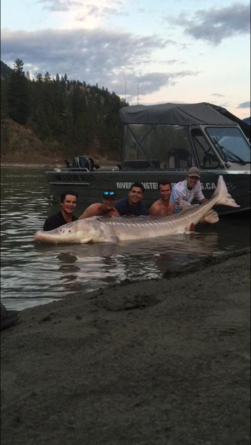 Cần đến 5 người để bê đỡ con cá khổng lồ.