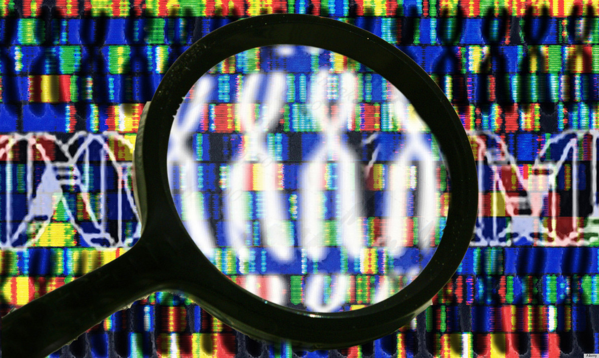 Giải mã hệ gen của các cá thể có thể trạng tốt, tuổi thọ cao (trên 100 tuổi), các tài năng đặc biệt về thể thao, toán học, âm nhạc, khoa học, quản lý... sẽ tìm kiếm được các gen có liên quan nhằm cải tạo giống nòi.