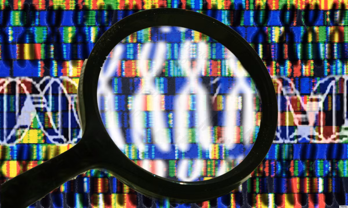 Giải mã hệ gen của các cá thể có thể trạng tốt, tuổi thọ cao (trên 100 tuổi), các tài năng đặc biệt về thể thao, toán học, âm nhạc, khoa học, quản lý... sẽ tìm kiếm được các gen có liên quan nhằm cải tạo giống nòi.