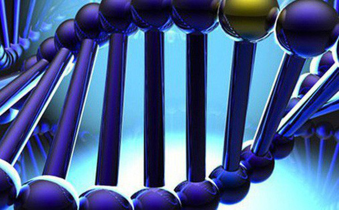 Ttrong nghiên cứu sinh học, nhiều khi bộ gen không khác nhau nhiều nhưng sự thể hiện mạnh, yếu ở mặt nào thì lại do môi trường sống.