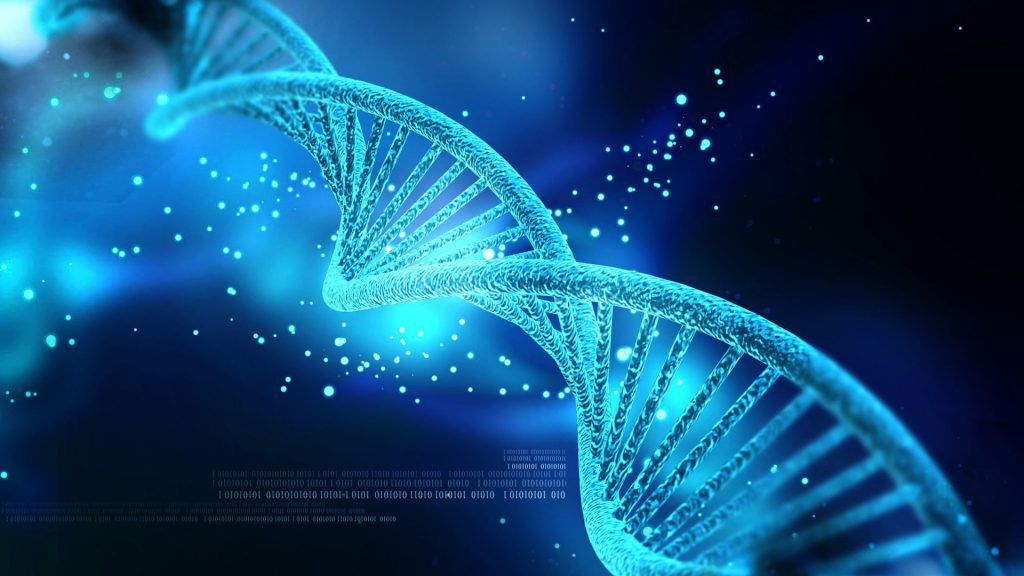 Nghiên cứu về bộ gene của người Việt” là cơ sở dữ liệu đồ sộ đầu tiên về hệ gene người Việt Nam, được thực hiện từ việc giải trình từ bộ gene của 305 người Kinh khỏe mạnh tại Vinmec; đồng thời, kết hợp với dữ liệu của 101 người đã được công bố trước đó. Như vậy, đã có 406 bộ gene của người Việt để phân tích và ghi chép lại dữ liệu này. Đây là dữ liệu về hệ gene của người Việt lớn nhất từ trước đến nay và cũng đại diện nhất