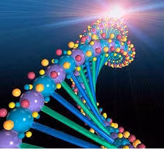 Nghiên cứu này có nhiều điểm mới được phát hiện về y sinh và nguồn gốc người Việt. Kết quả nghiên cứu làm sáng tỏ thêm nguồn gốc tổ tiên của người Việt, một vấn đề nhạy cảm, gây nhiều tranh cãi nhưng lại thiếu các bằng chứng khách quan về nghiên cứu bộ gen.